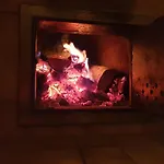 Apartment Zuhaus Gruab - Dog Friendly Tyrolean With Fireplace Premiumcard Wildschoenau