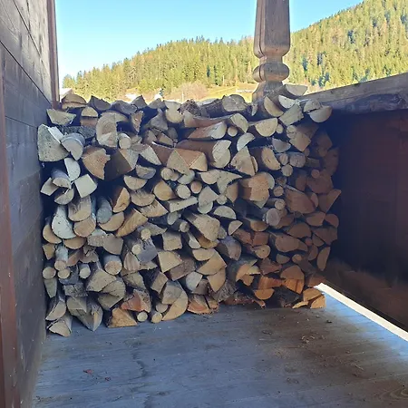 Cozy Tyrolean Quiet View And Dogs Welcome Апартаменты