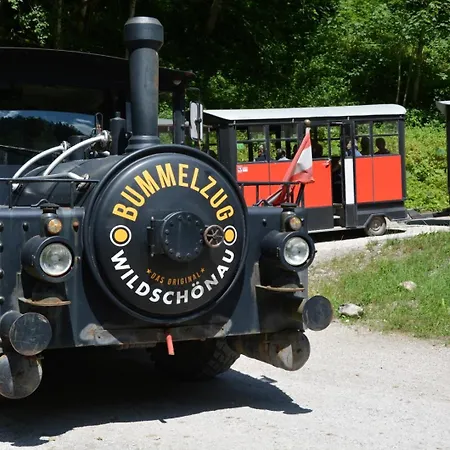 Zuhaus Gruab - Dog Friendly Tyrolean With Fireplace Premiumcard *